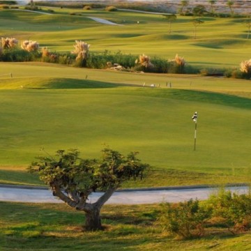 hotel-bonalba-alicante-014